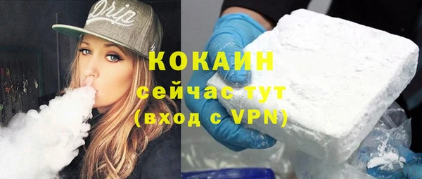 ECSTASY Богданович