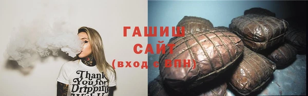 ECSTASY Богданович
