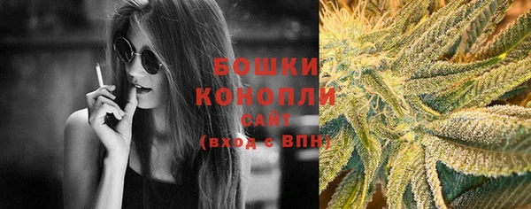 гидропоника Белокуриха