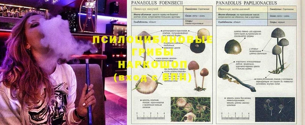 MDMA Беломорск