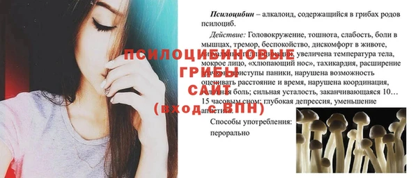 ECSTASY Богданович