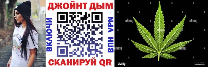 kraken tor  Балахна  Конопля Amnesia 